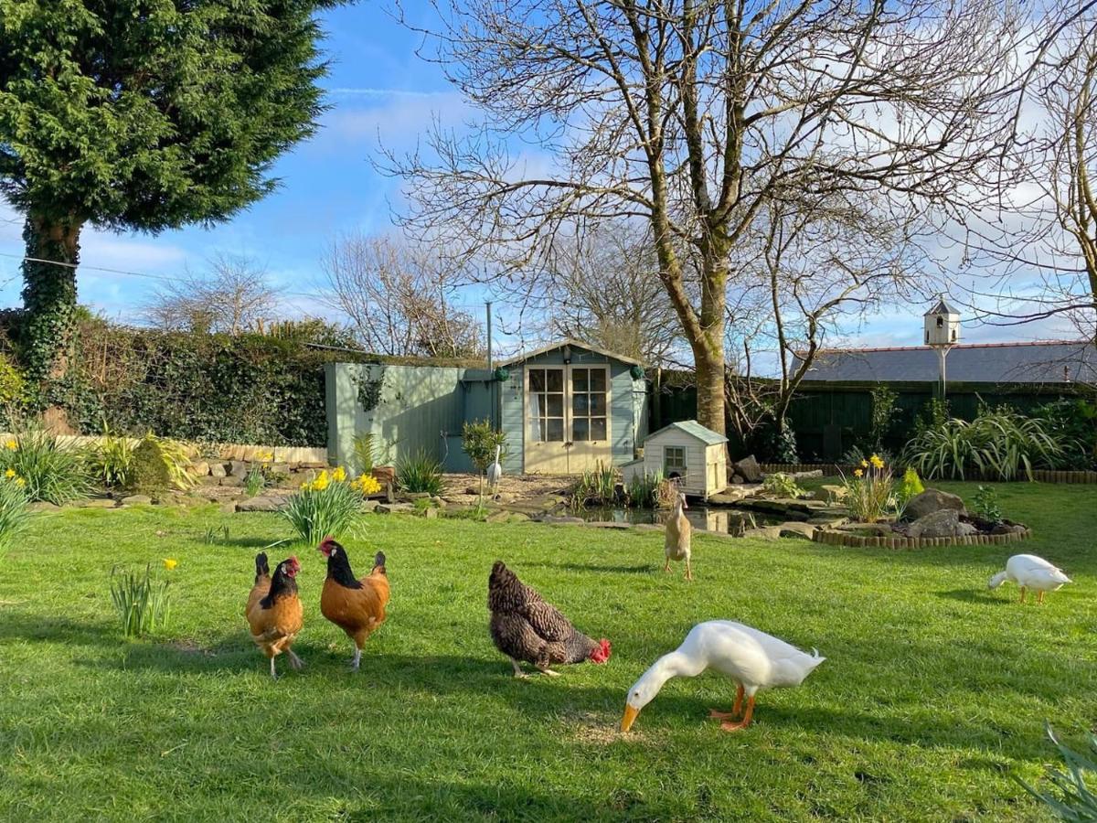 스완지 The Duck House 아파트 외부 사진
